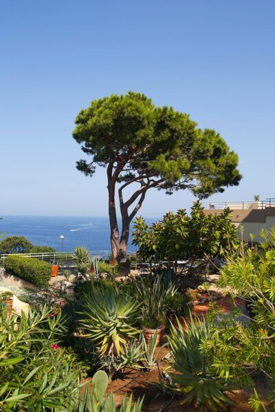 hotel-saint-erasme-jardin-min