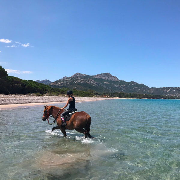 Balades à cheval - Échappées belles - Hôtel Le Saint Erasme